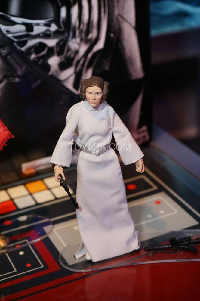 Leia looks.....masculine for some reason.
