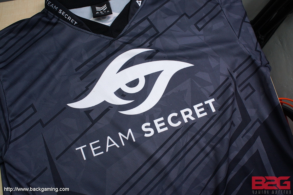 team secret x champion hoodie