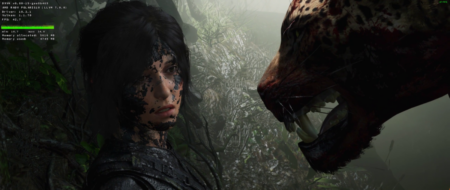Shadow Of The Tomb Raider - Steam Proton Performance Preview