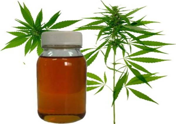 The Cbd Wholesale Business – What You Need To Know