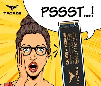Find out more about the T-Force Cardea Z44L SSD